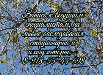 Берекчиева И.Ю