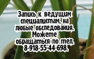 Вероника Игоревна Шендрикова - кардиолог