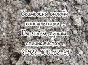 Ростов лучшие цены рентген на дом