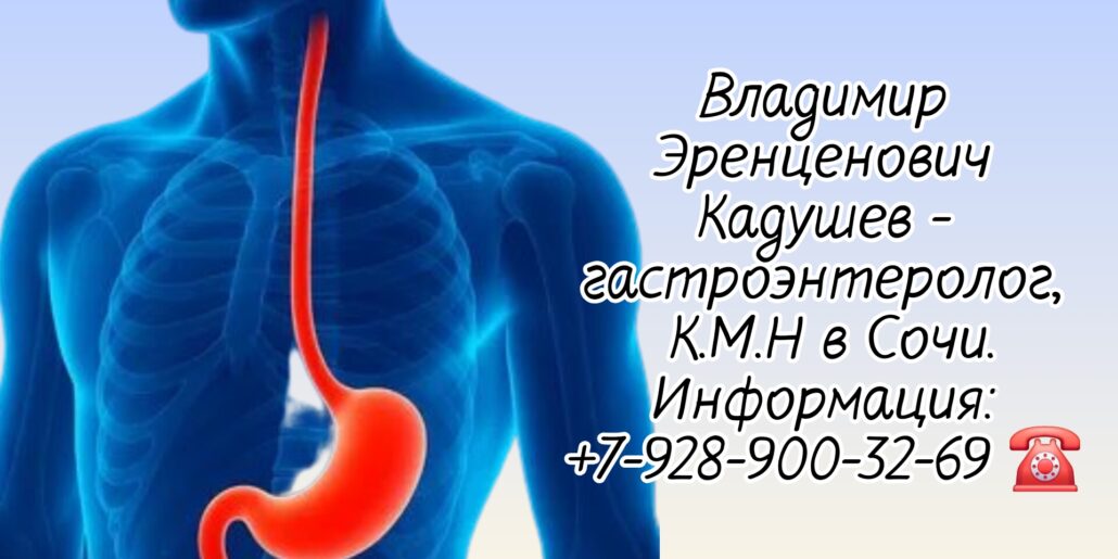 Кадушев Владимир Эренценович - гастроэнтеролог